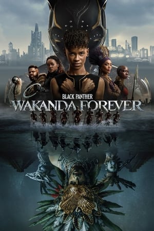Black Panther: Wakanda Forever 2022 Hindi (ORG) Dual Audio – 480p