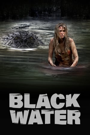 Black Water (2007) Hindi Dual Audio 300MB