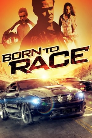 Born to Race 2011 Hindi Dual Audio [610MB]