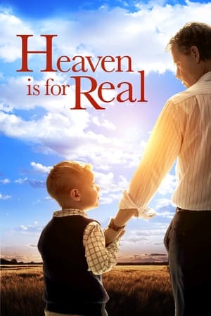 Heaven Is for Real (2014) Hindi Dual Audio 300MB