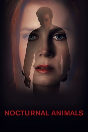 Nocturnal Animals (2016) Hindi Dual Audio 380MB