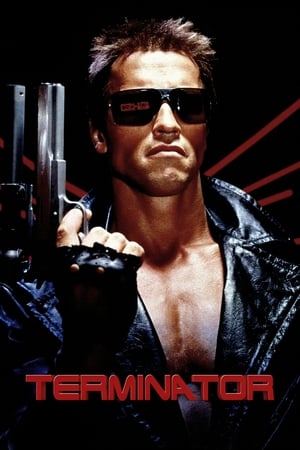 The Terminator (1984) Hindi Dual Audio 380MB