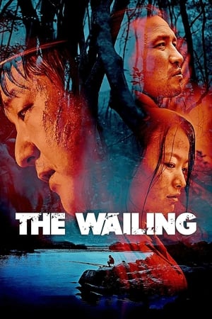 The Wailing 2016 Hindi Dual Audio 450MB